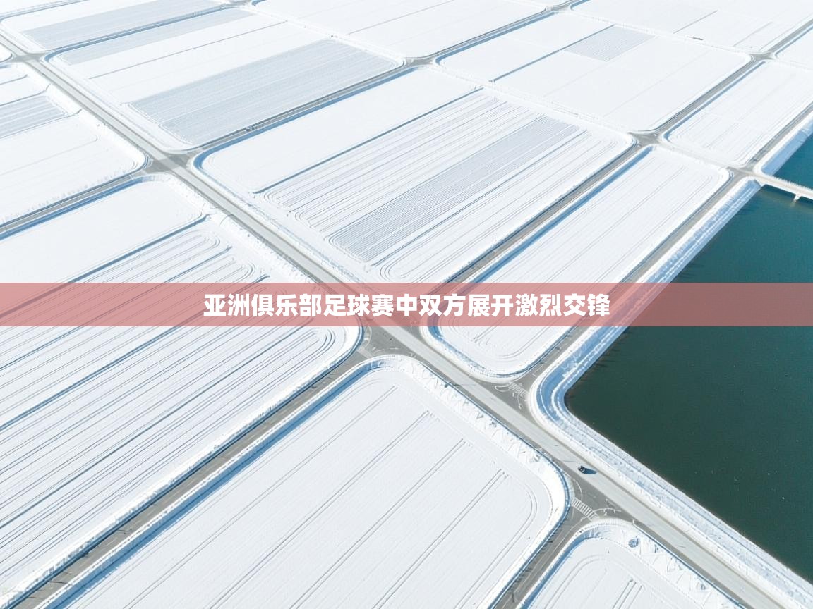 亚洲俱乐部足球赛中双方展开激烈交锋 第2张