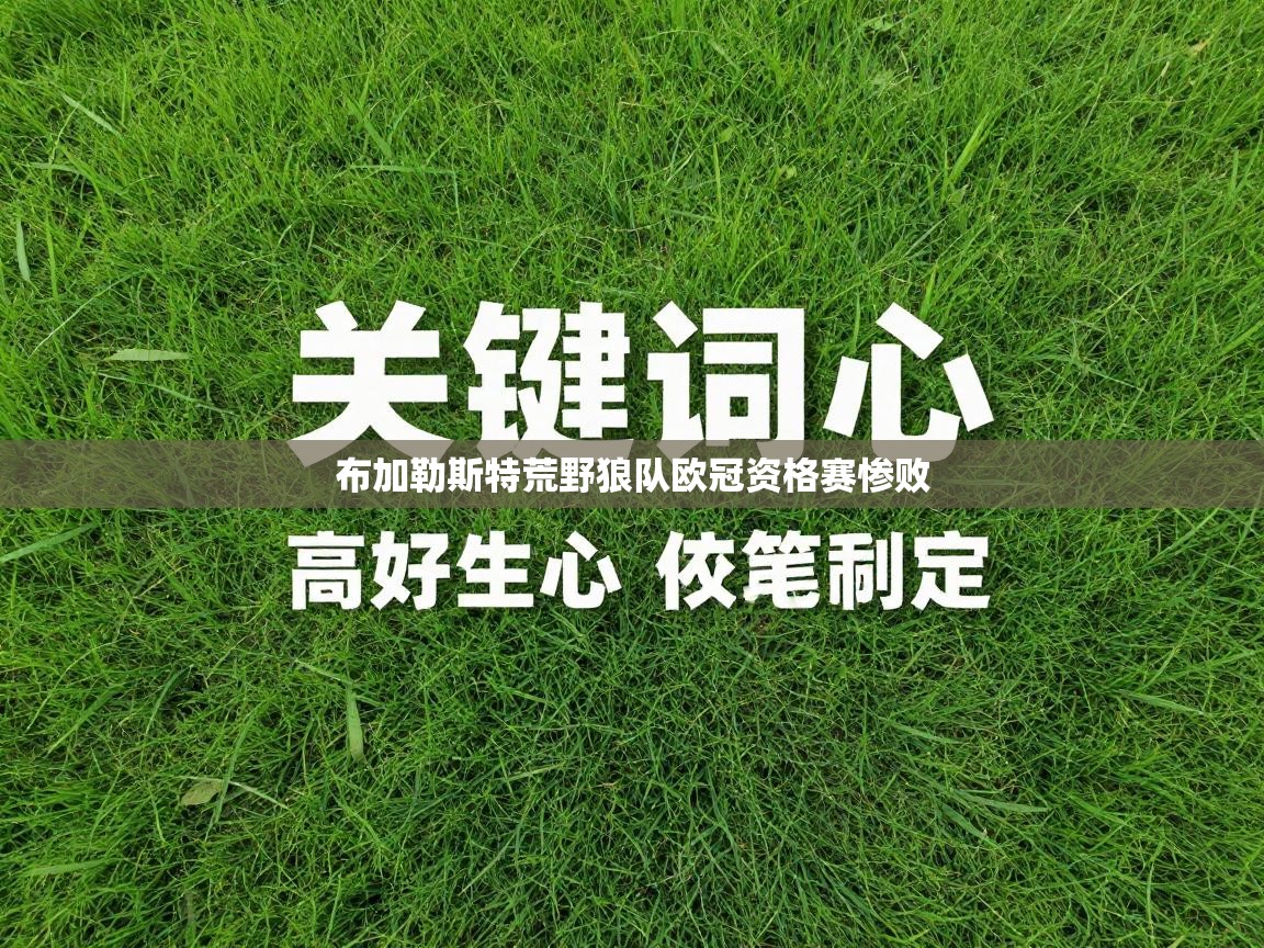 布加勒斯特荒野狼队欧冠资格赛惨败 第1张