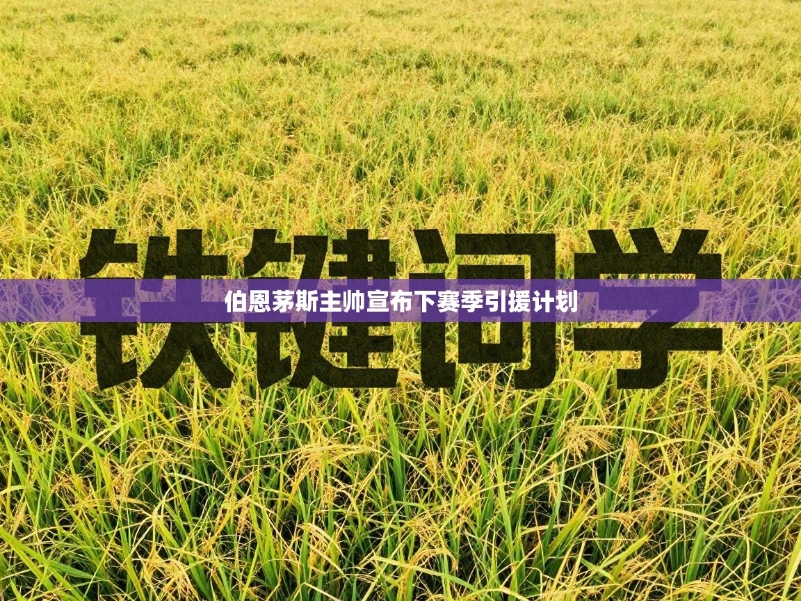 伯恩茅斯主帅宣布下赛季引援计划 第1张