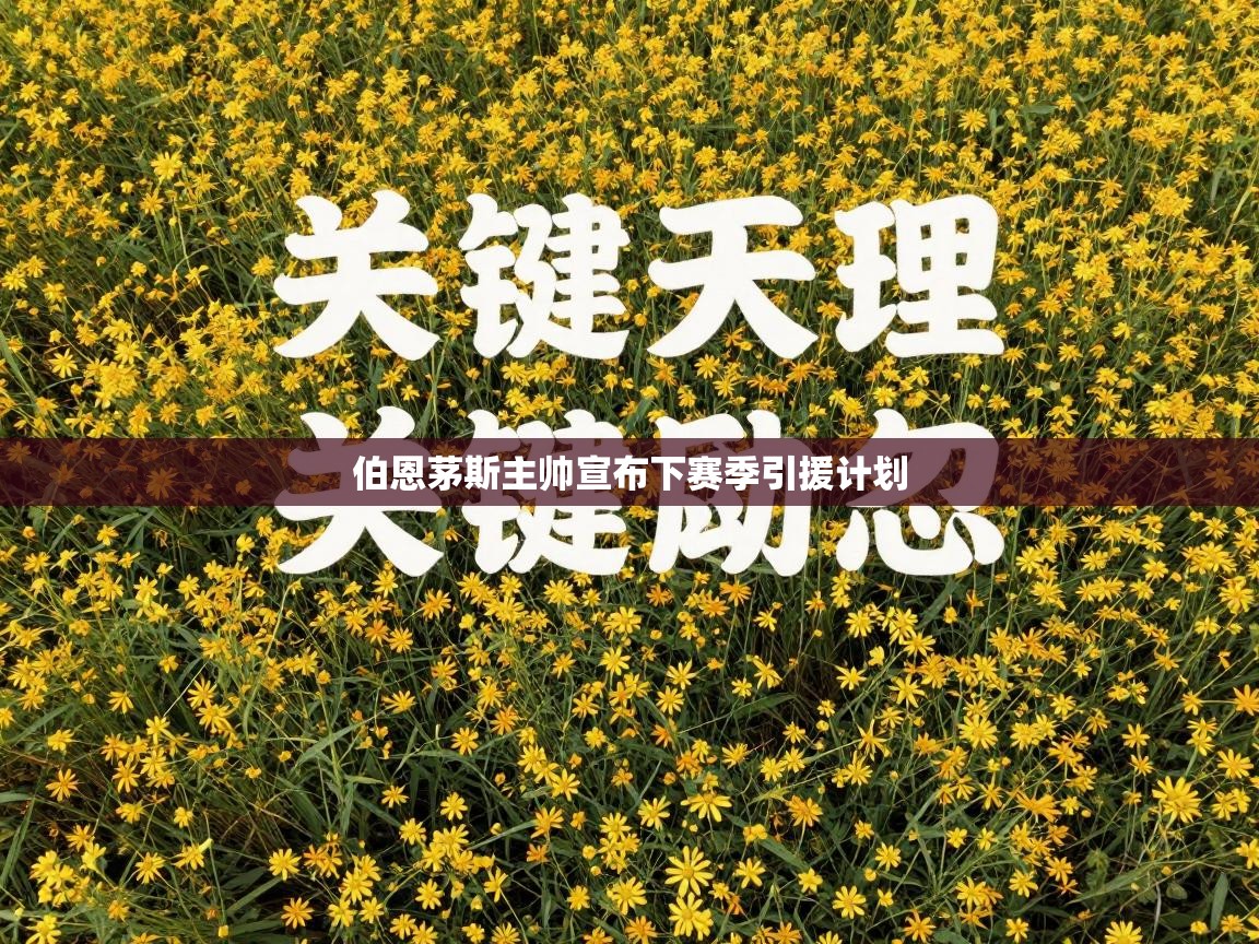 伯恩茅斯主帅宣布下赛季引援计划 第2张